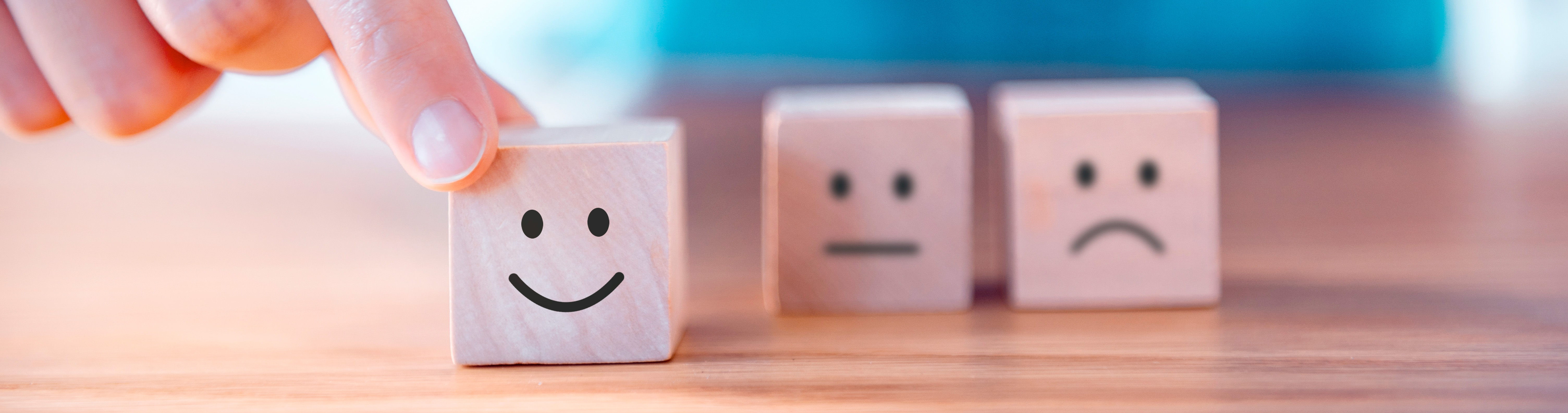 Hur upplevs bilköpet ur ett bilekonomiskt perspektiv?